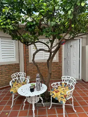 a table and two chairs next to a tree at Apart Suipacha in Río Cuarto