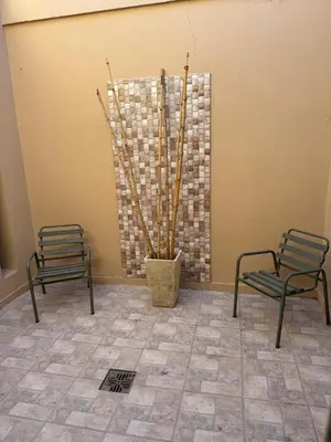 two chairs and a potted plant in a room at Apart Suipacha in Río Cuarto