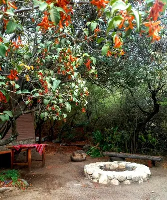 a garden with a fire pit in front of a tree at Rancho Eco Loft in San Javier