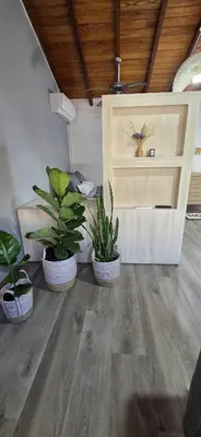 three potted plants sitting on the floor in a room at monoamb moderno in Cordoba