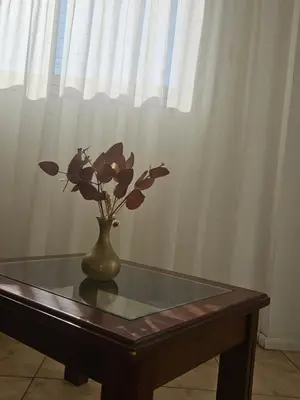 a vase with flowers on a table in front of a window at Urban 360 in Río Cuarto