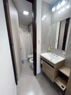 a bathroom with a sink and a toilet and a mirror at Departamento 1 dormitorio in Villa Carlos Paz