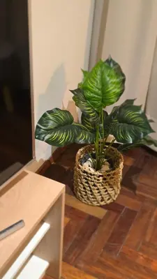 a potted plant sitting on the floor next to a tv at Departamento Nueva Córdoba - Parque Sarmiento in Cordoba