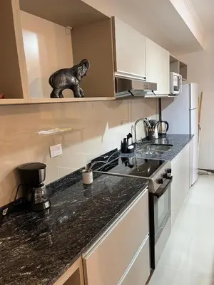 a kitchen with a monkey figurine on the counter at Departamento Venetto 8 in Villa Carlos Paz