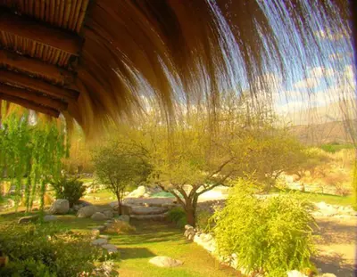 a painting of a garden with a tree and a building at Posada La Valentina in Villa de Las Rosas
