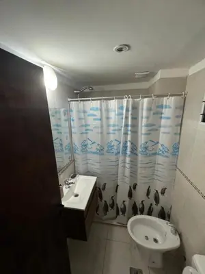 a bathroom with a sink and a toilet and a shower curtain at Carlos Paz Roque Sainz Peña in Villa Carlos Paz