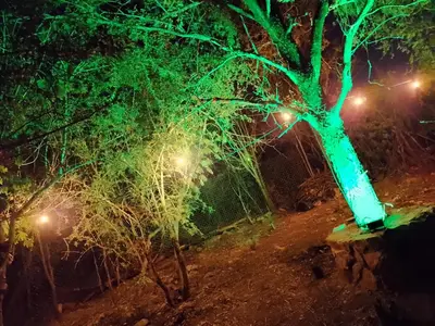 a tree with green lights on a dirt road at Lo De ADRI in Villa Carlos Paz