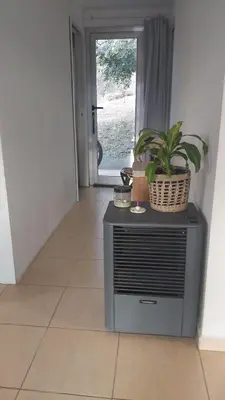 a plant sitting on top of a television with a window at Paz in Tanti