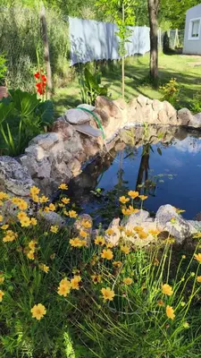 a pond with yellow flowers in a yard at Cabañas Vida Paz in Las Calles