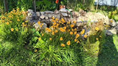 a garden with flowers in front of a rock wall at Cabañas Vida Paz in Las Calles
