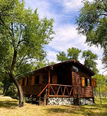 a log cabin with a tree in front of it at Cabaña Rincón de los Pájaros San Ignacio Cordoba in San Ignacio