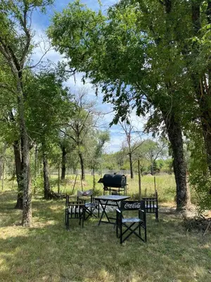 a picnic table with a cow in a field at Cabaña Rincón de los Pájaros San Ignacio Cordoba in San Ignacio