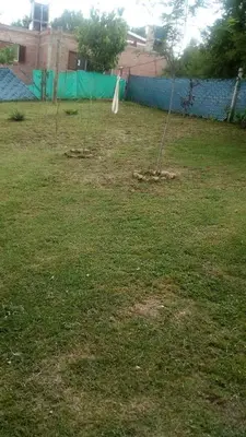 a yard with two trees in the grass at Portal del rio in Mina Clavero