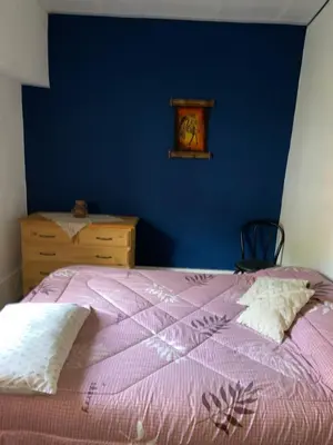 a bedroom with a purple bed and a blue wall at La loreta in Mina Clavero