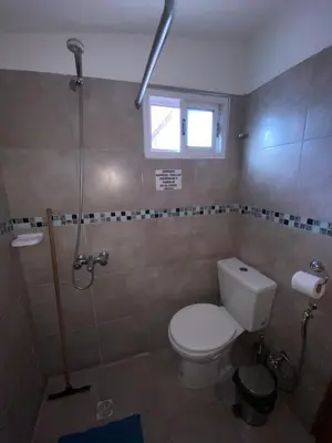 a bathroom with a toilet and a shower at La loreta in Mina Clavero