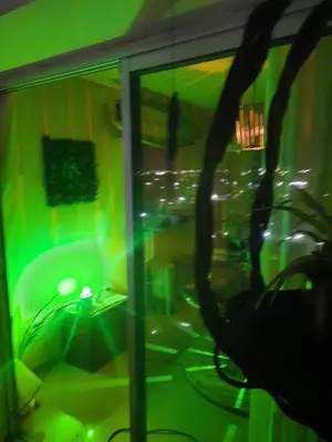 a green room with a window and a plant at Terra Zión in Cordoba