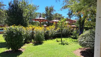 a garden with two umbrellas and yellow flowers at complejo inti sumah in Nono