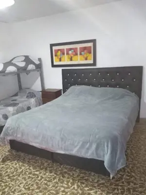 a bedroom with a bed with a gray comforter at Departamento luna in Cordoba