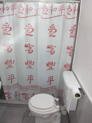 a bathroom with a toilet and a shower curtain with asian writing at Departamento luna in Cordoba