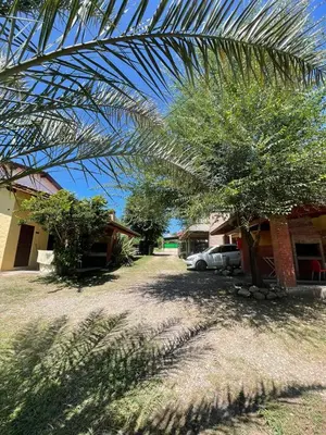 a palm tree in front of a house with a car at Santa Rosa Cabañas in Santa Rosa de Calamuchita