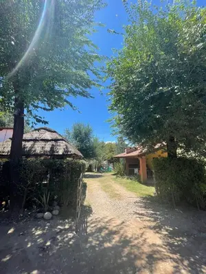 a dirt road next to a building with a tree at Santa Rosa Cabañas in Santa Rosa de Calamuchita