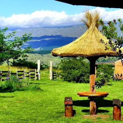 a grass umbrella sitting on top of a field at Puesto Potrillos in Villa Yacanto
