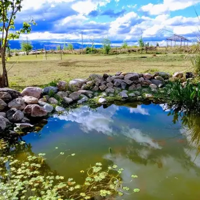 a reflection of a bridge in a pool of water at Puesto Potrillos in Villa Yacanto