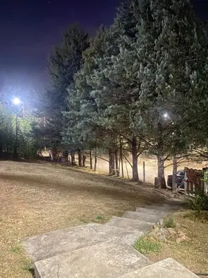 a park at night with trees and street lights at La casa de Pedro in San Roque