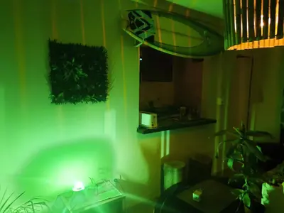 a green room with a sink and a mirror at Terra Zión in Cordoba
