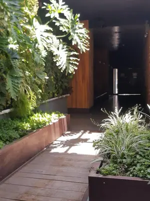 a walkway in a garden with plants at Dean Funes - Distrito monoambiente in Cordoba
