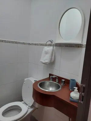 a bathroom with a sink and a toilet and a mirror at Costanera in Río Cuarto