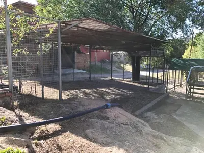 a chicken coop being constructed with a shed at Terrazas del Diquecito in Villa Carlos Paz