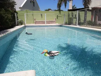 a duck floating in a pool of water at Complejo La Tere- depto 3 in Cordoba