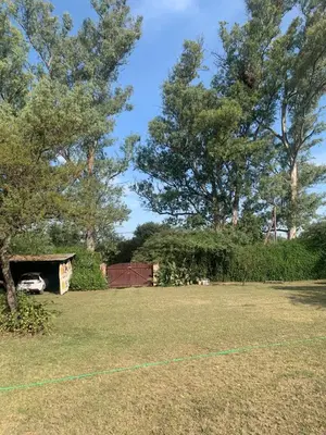 a yard with trees and a fence and a kite at Los nonos in Villa Los Aromos