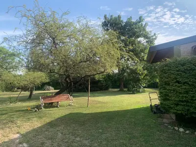 a park bench sitting in the grass near a tree at Los nonos in Villa Los Aromos
