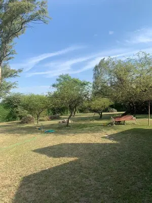 a park with a bench and trees on a field at Los nonos in Villa Los Aromos