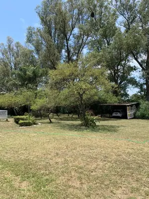 a yard with a shed and trees and grass at Los nonos in Villa Los Aromos