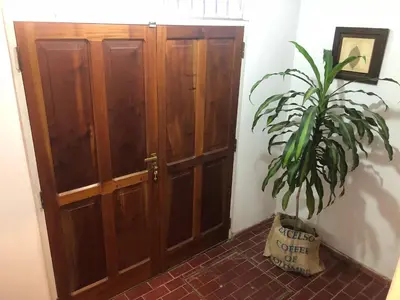 a plant sitting next to a wooden door at Departamento barrio urca in Cordoba