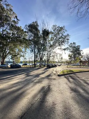 an empty street with trees and cars parked on it at Departamentos Sol y Lago in Villa Carlos Paz