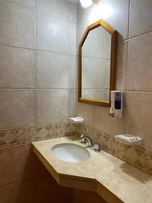 a bathroom with a sink and a mirror at Posada in Merlo