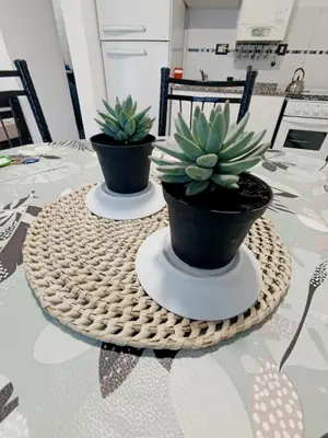 two potted plants sitting on top of a table at Departamento Centrico San Jose II in Villa Carlos Paz