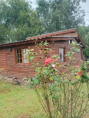 a log cabin with a bush in front of it at Cabaña en los solares in Villa Ciudad Parque