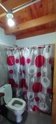 a bathroom with a toilet and a shower curtain at Departamento en Villa Santa Cruz del Lago in Villa Santa Cruz del Lago