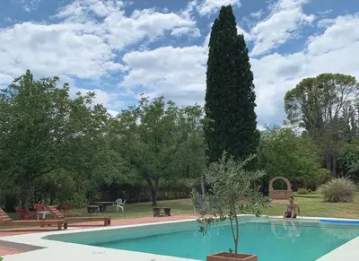 a swimming pool with a large tree in a park at Casita de campo La Añurita in San Javier
