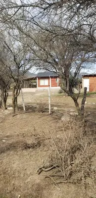 a group of trees in a field with a building at Cabañas Valle del Chutunzo in San Francisco del Monte de Oro