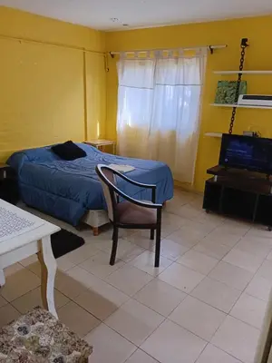a bedroom with a bed and a chair and a television at Monoambiente Alto Verde in Cordoba