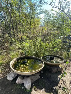 two large bowls filled with water sitting on rocks at Domo Del Rio in Los Reartes