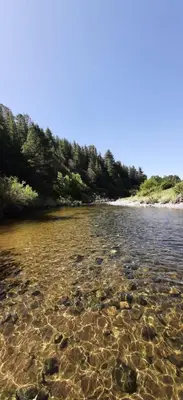 a river with rocks in the water and trees at Estancia san Miguel in San Miguel de los Rios
