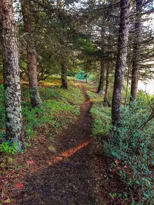 a dirt trail in a forest with trees at Estancia san Miguel in San Miguel de los Rios