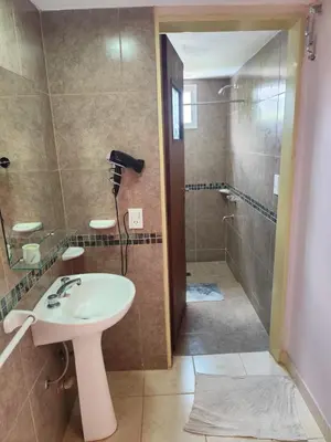 a bathroom with a sink and a shower at Departamentos Pura Fe in Santa Rosa de Calamuchita